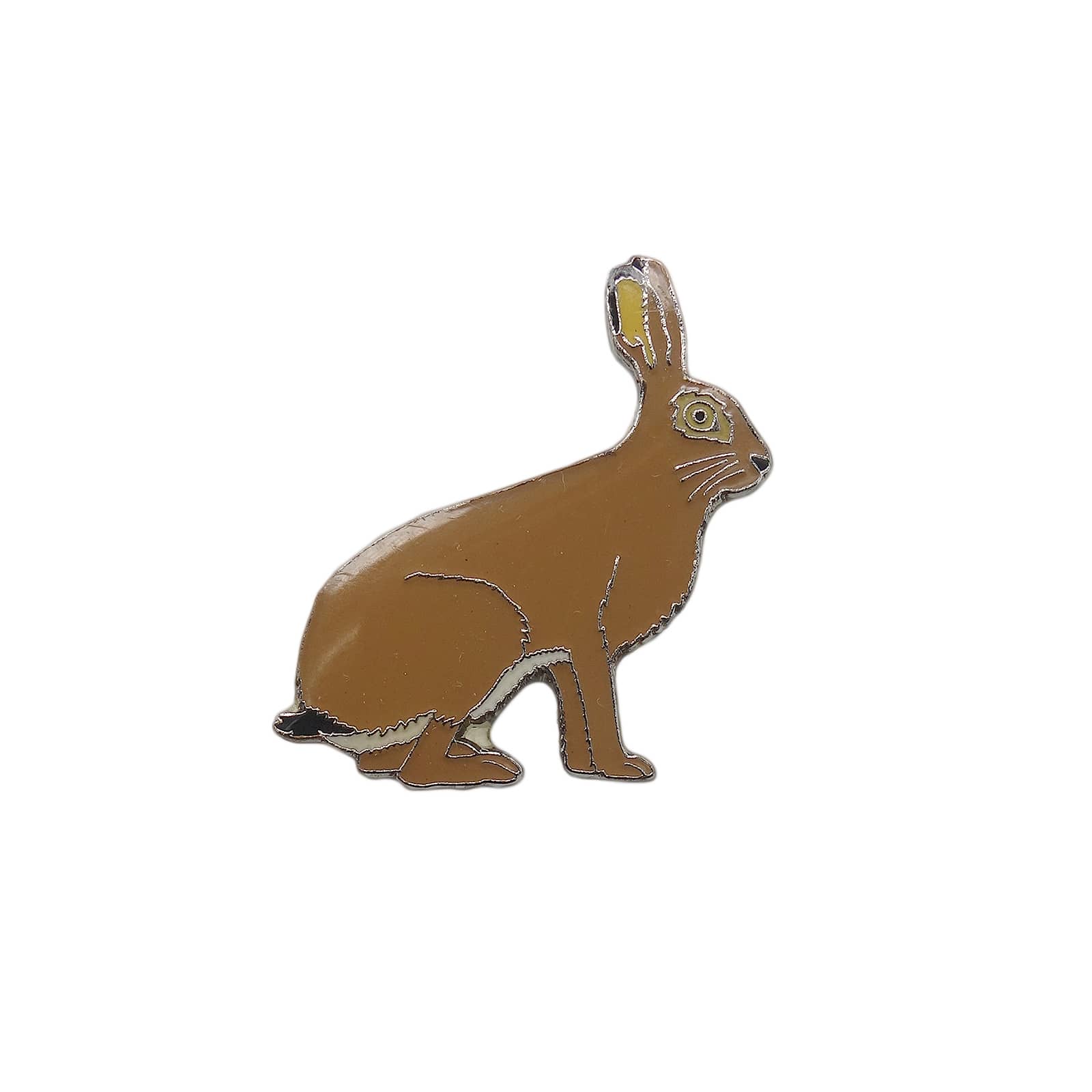 ヤブノウサギ ピンズ 動物