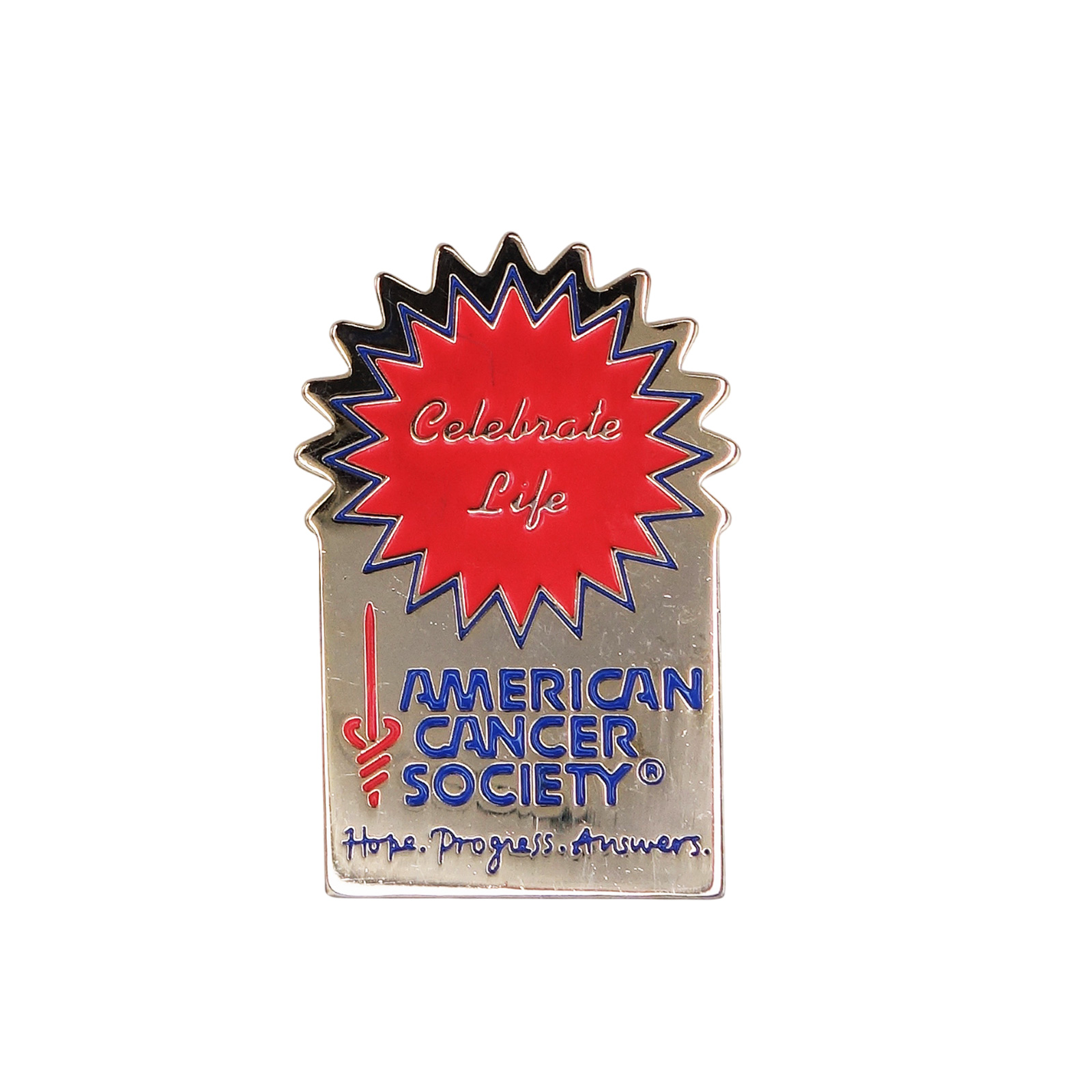 AMERICAN CANCER SOCIETY アメリカがん協会 ピンズ