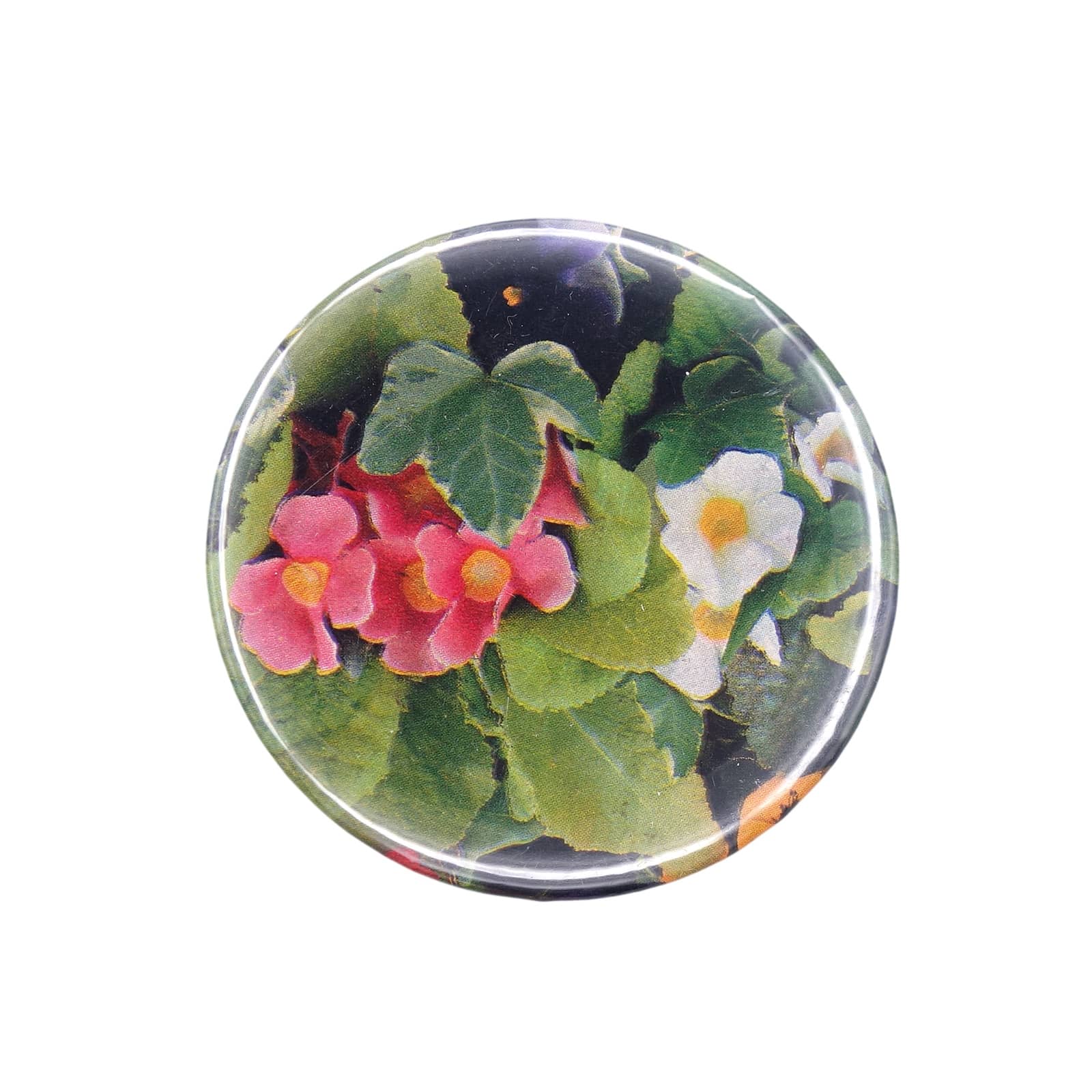 ベゴニア 花 缶バッジ バッチ 植物