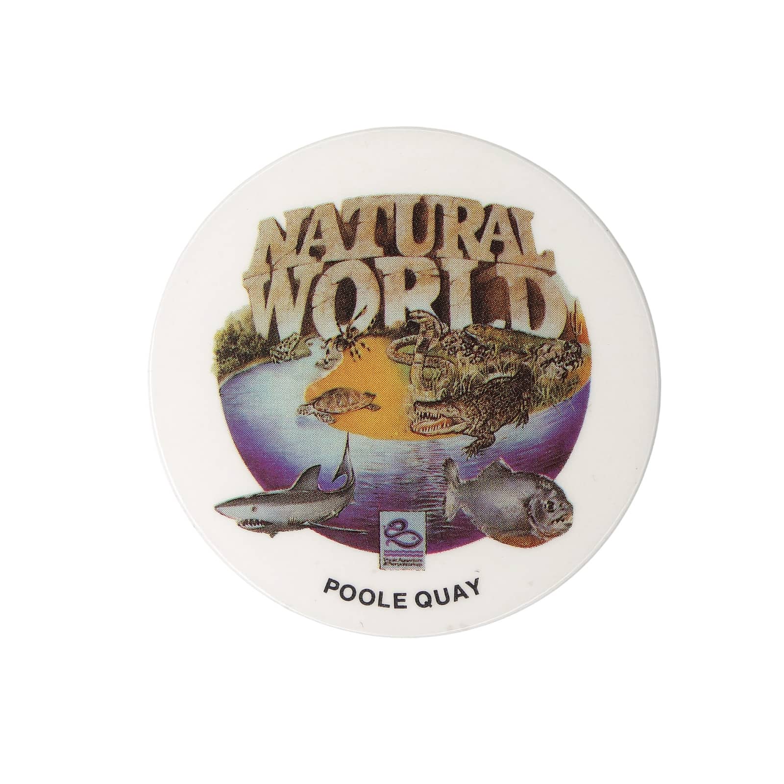 NATURAL WORLD 缶バッジ バッチ