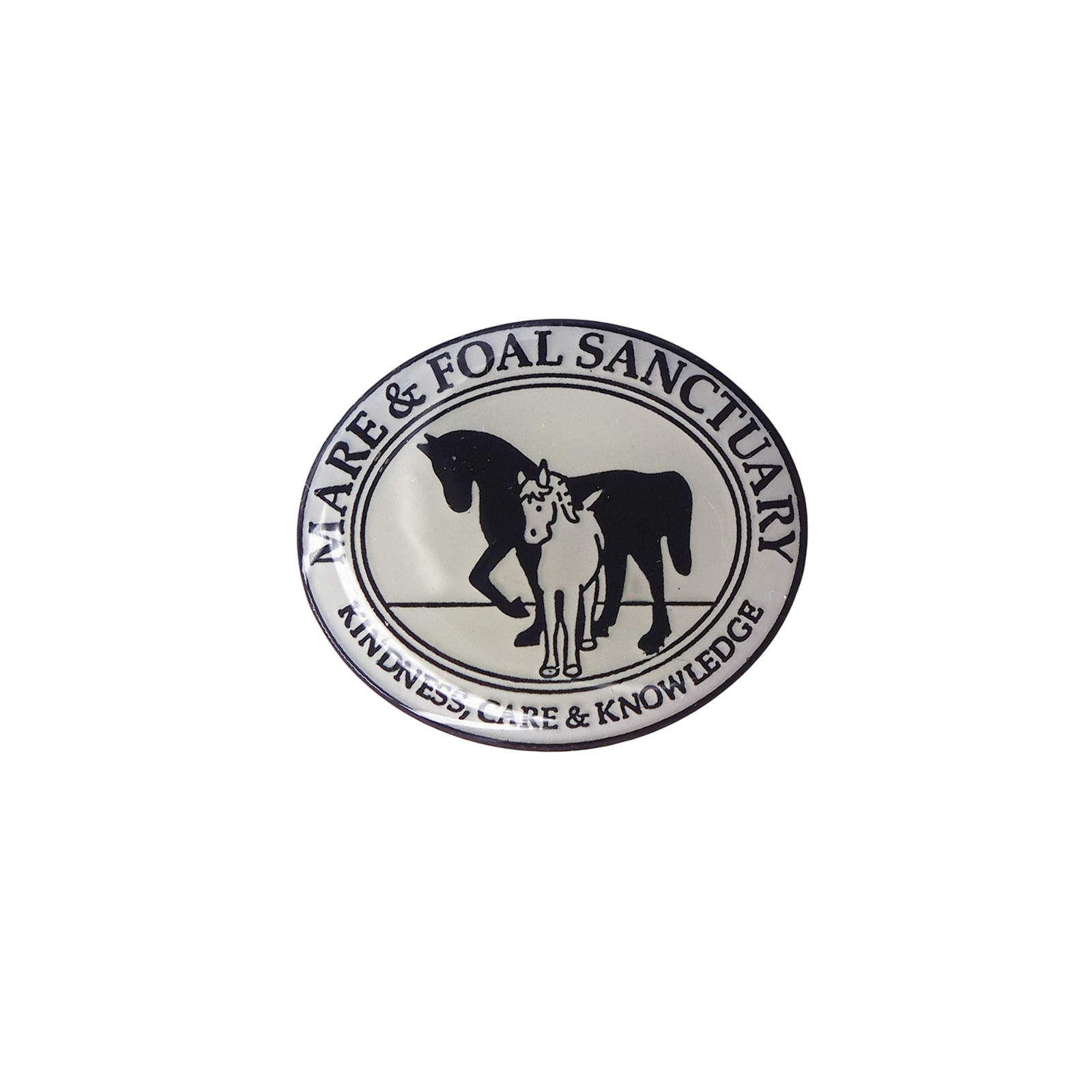 MARE & FOAL SANCTUARY ピンズ 馬やポニーのケアを行う慈善団体