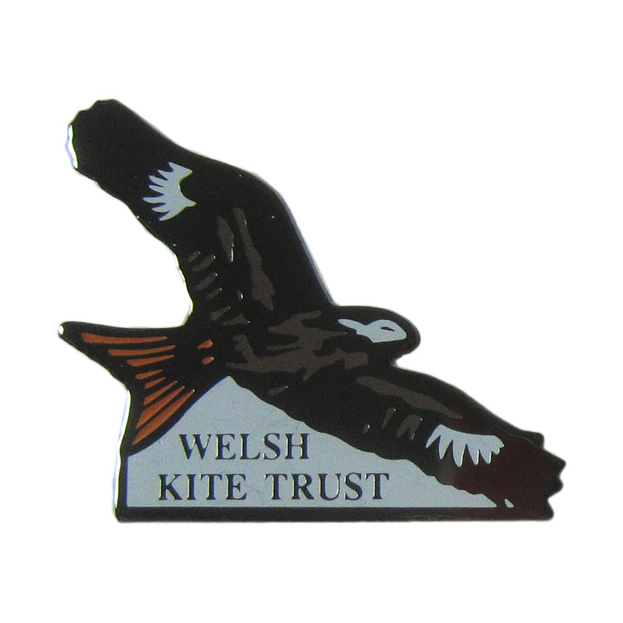 ピンズ 鷲 イーグル 保護 WELSH KITE TRUST イギリス 留め具付き ピンバッジ　