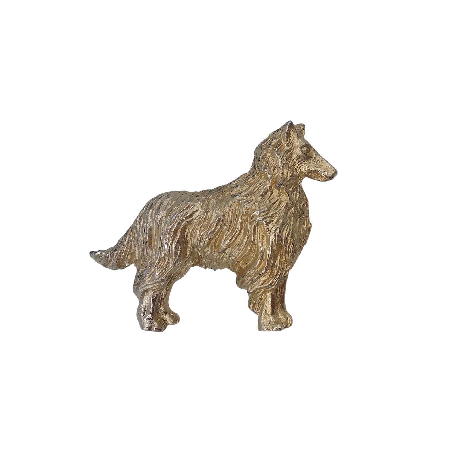 コリー 犬 ピンズ 金色 動物