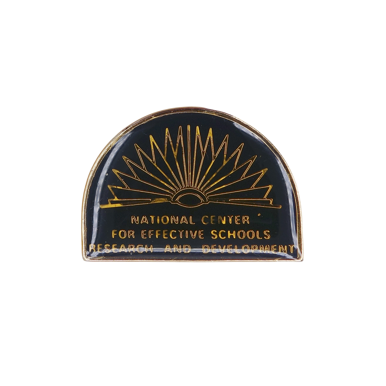 NATIONAL CENTER FOR EFFECTIVE SCHOOLS ピンズ