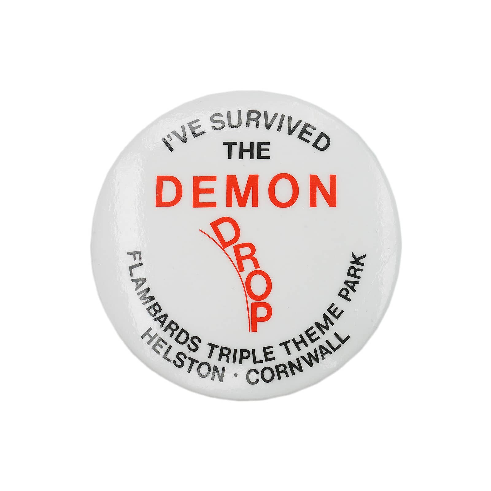 FLAMBARDS TRIPLE THEME PARK 缶バッジ バッチ DEMON DROP