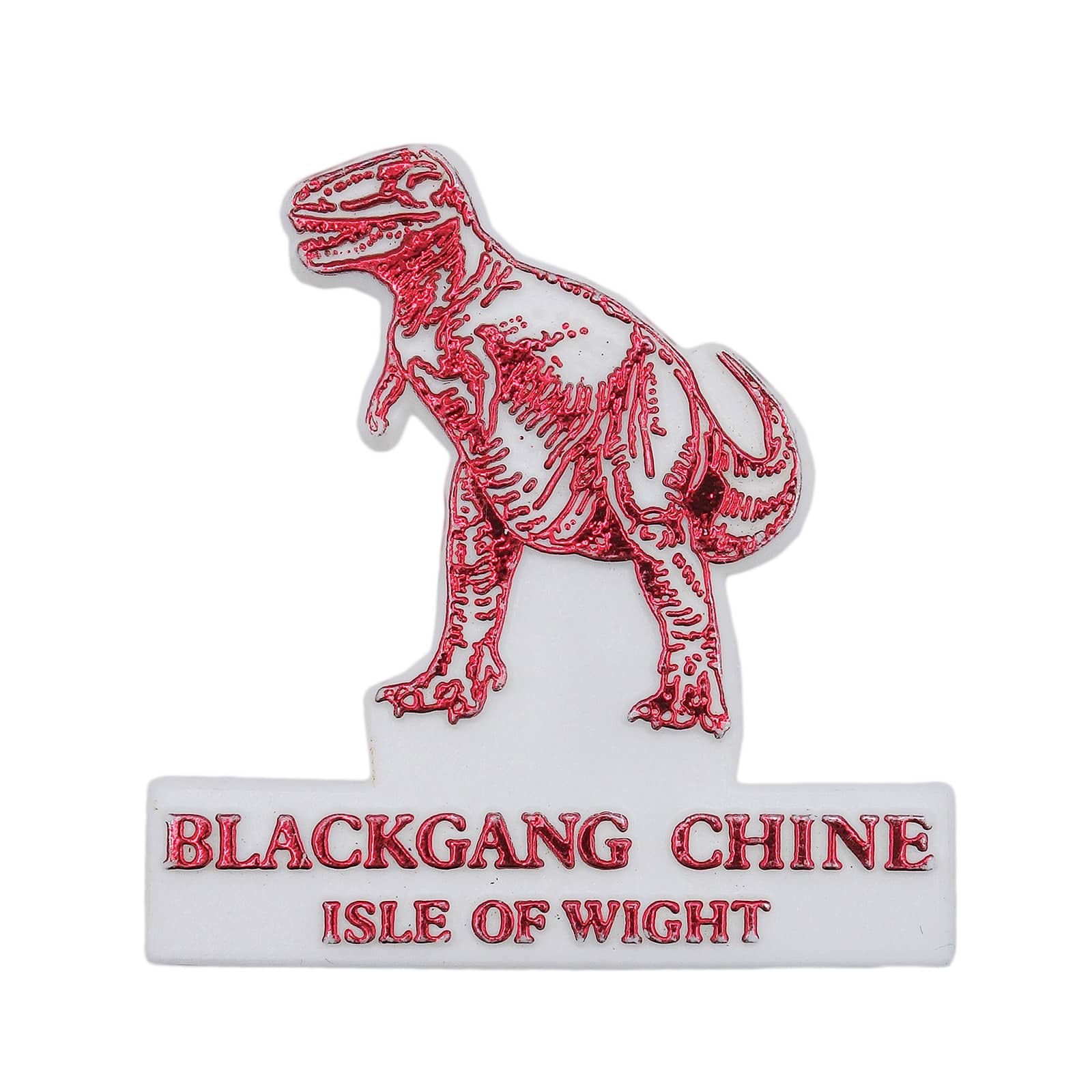 BLACKGANG CHINE ISLE OF WIGHT プラスチックバッジ 恐竜