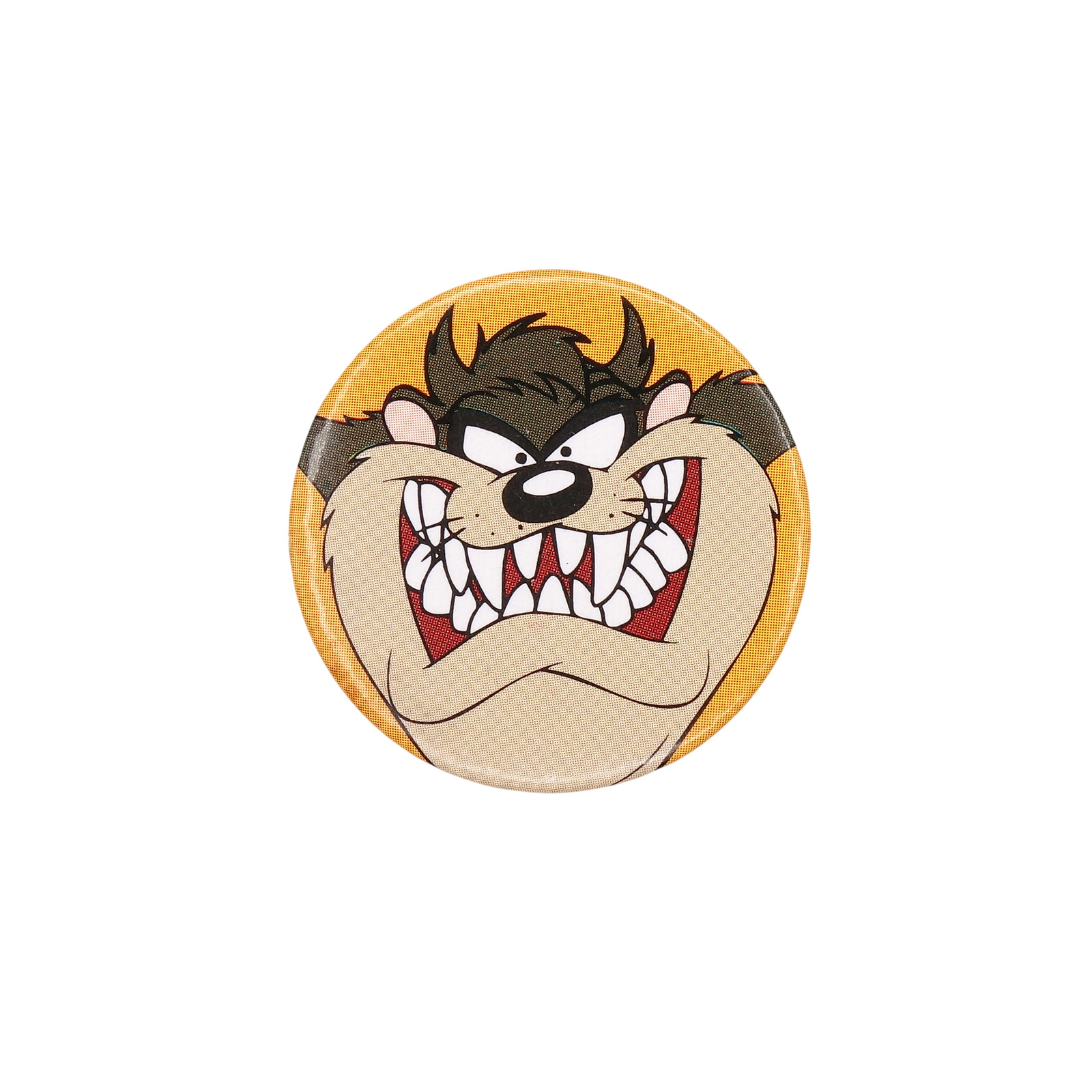 タズマニアン・デビル 缶バッジ バッチ 1994 WARNER BROS