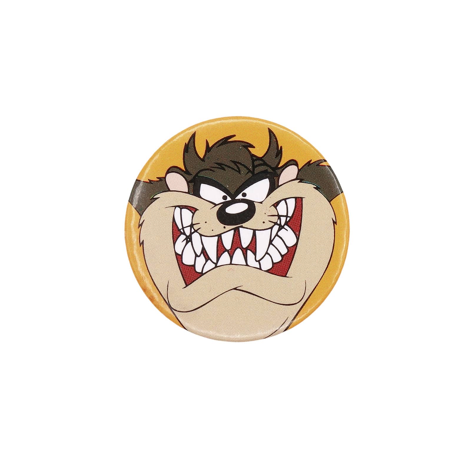 タズマニアン・デビル 缶バッジ バッチ 1994 WARNER BROS