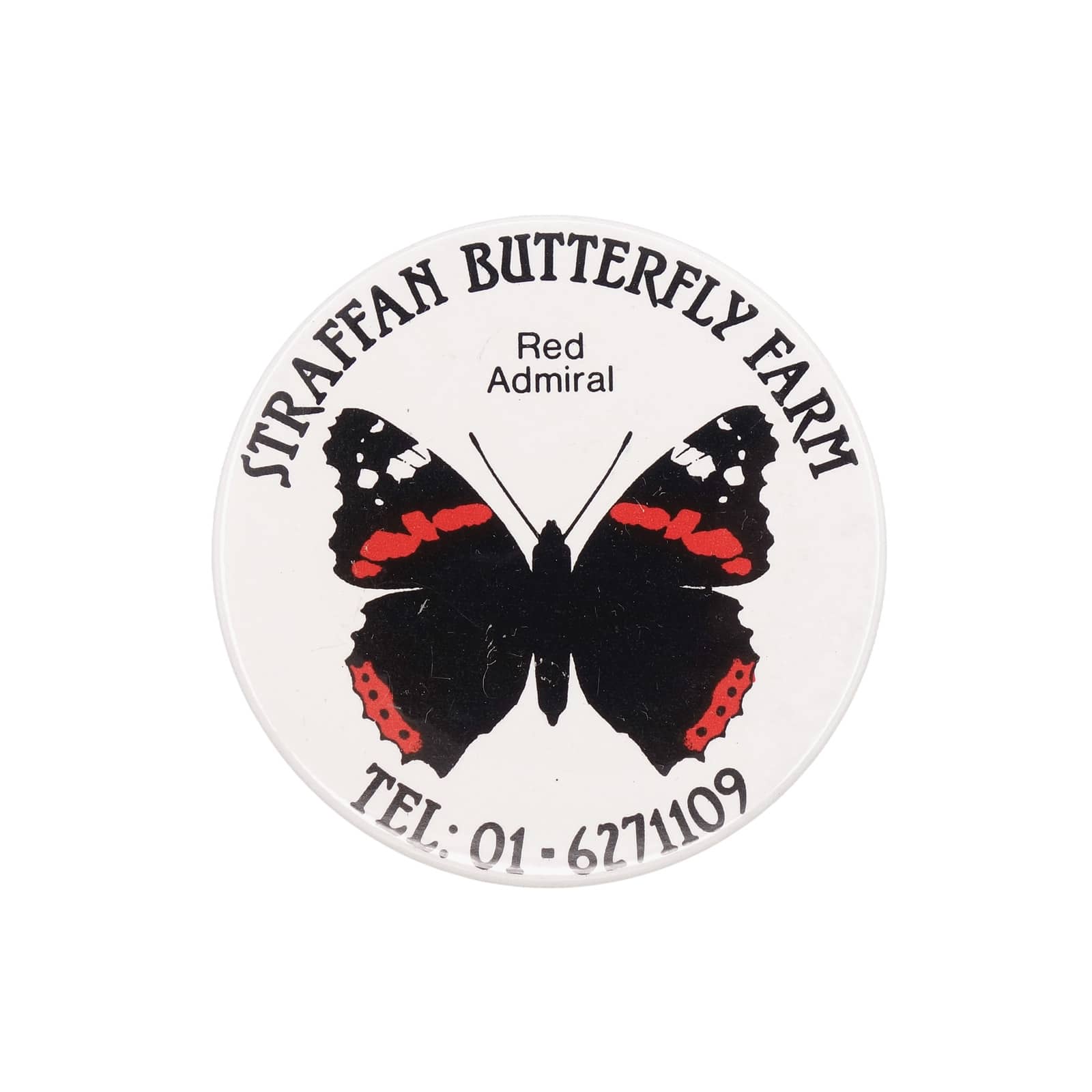 Straffan Butterfly Farm ヨーロッパアカタテハ 蝶 缶バッジ バッチ