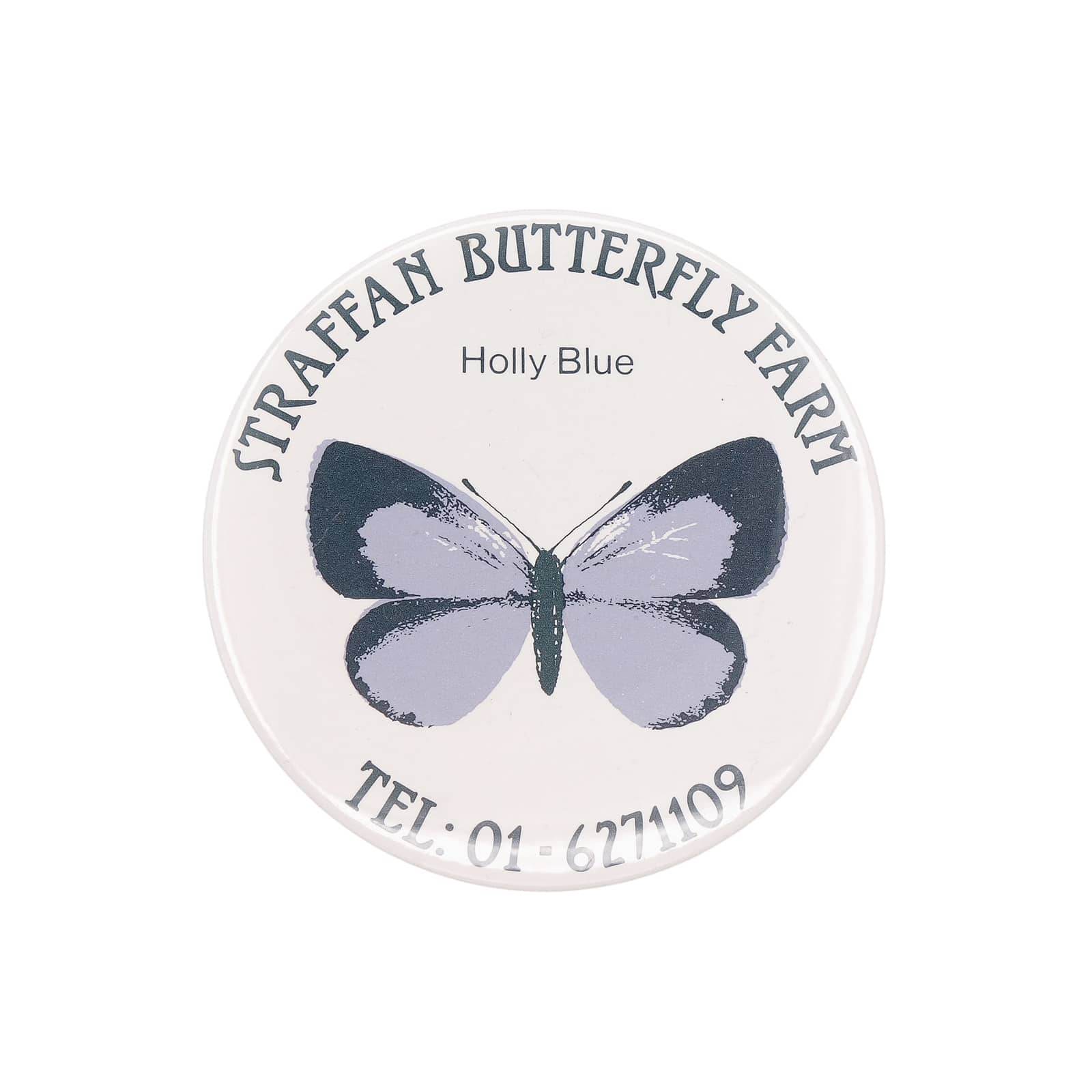 Straffan Butterfly Farm ルリシジミ 蝶 缶バッジ バッチ