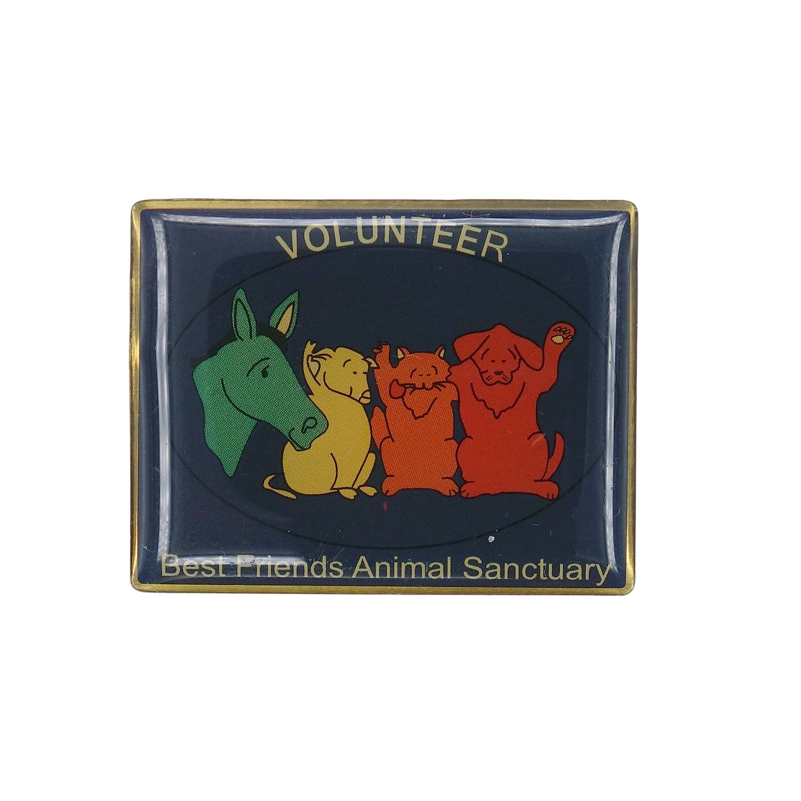 Best Friends Animal Sanctuary 動物保護団体 ピンズ VOLUNTEER