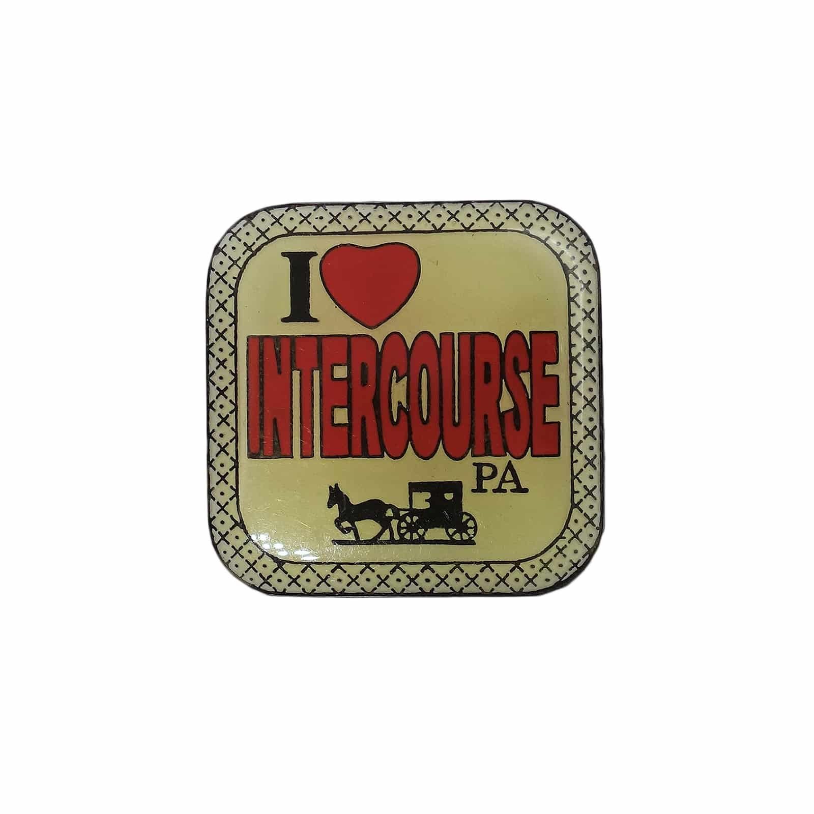 I LOVE INTERCOURSE PA ピンズ インターコース 留め具付き