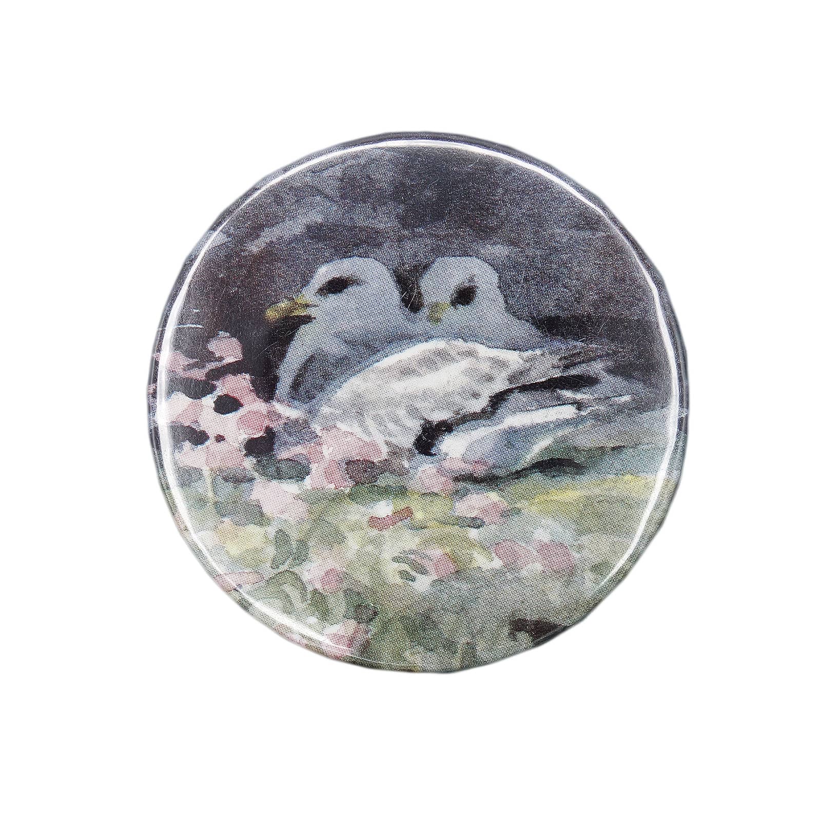 鳥 缶バッジ バッチ