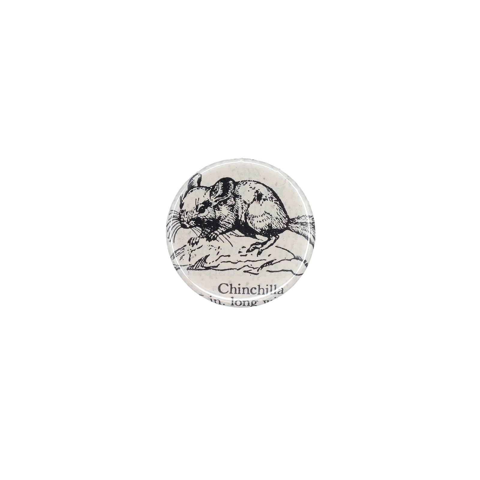 チンチラ Chinchilla 缶バッジ バッチ