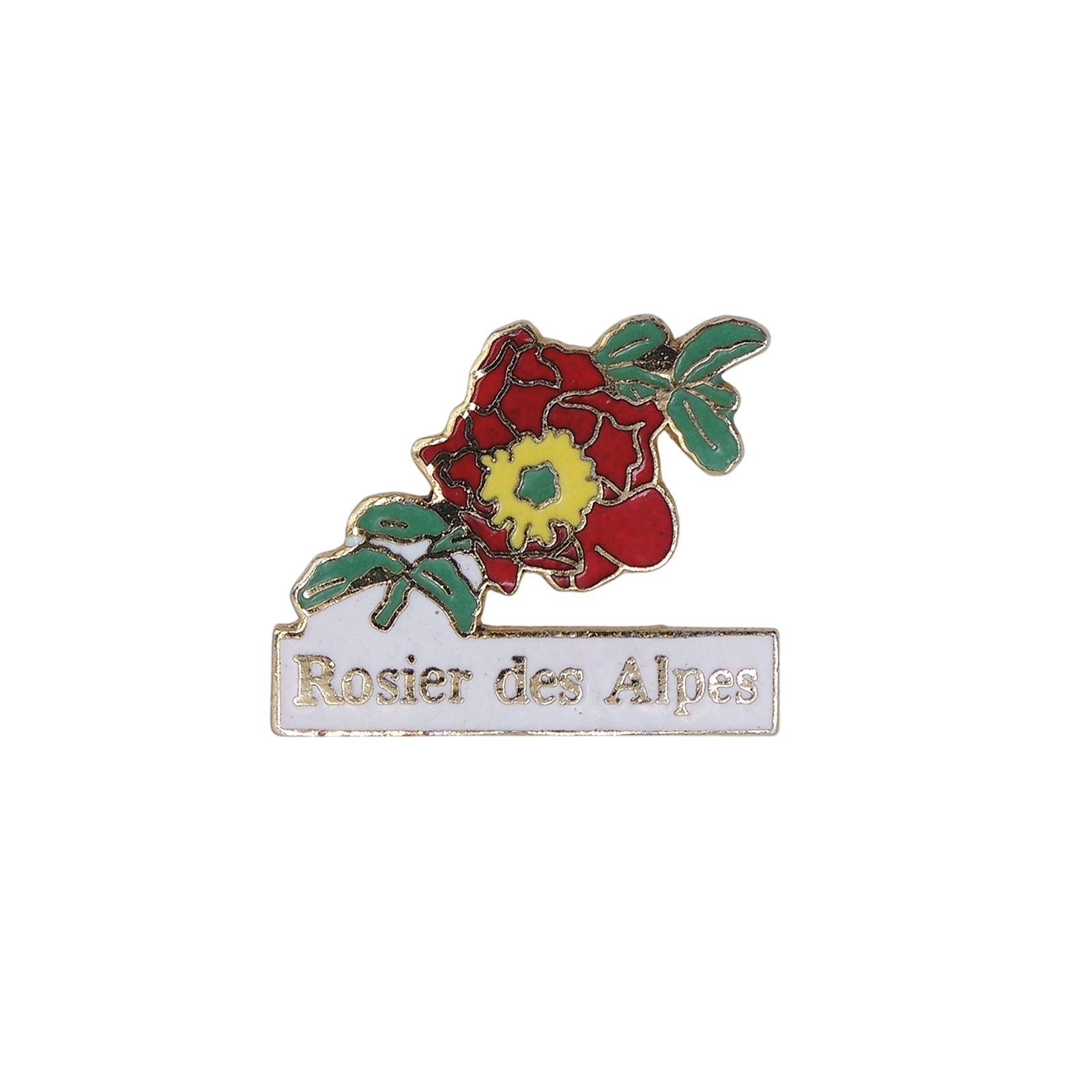 Rosier des Alpes ロサ ペンデュリナ 薔薇 ピンズ