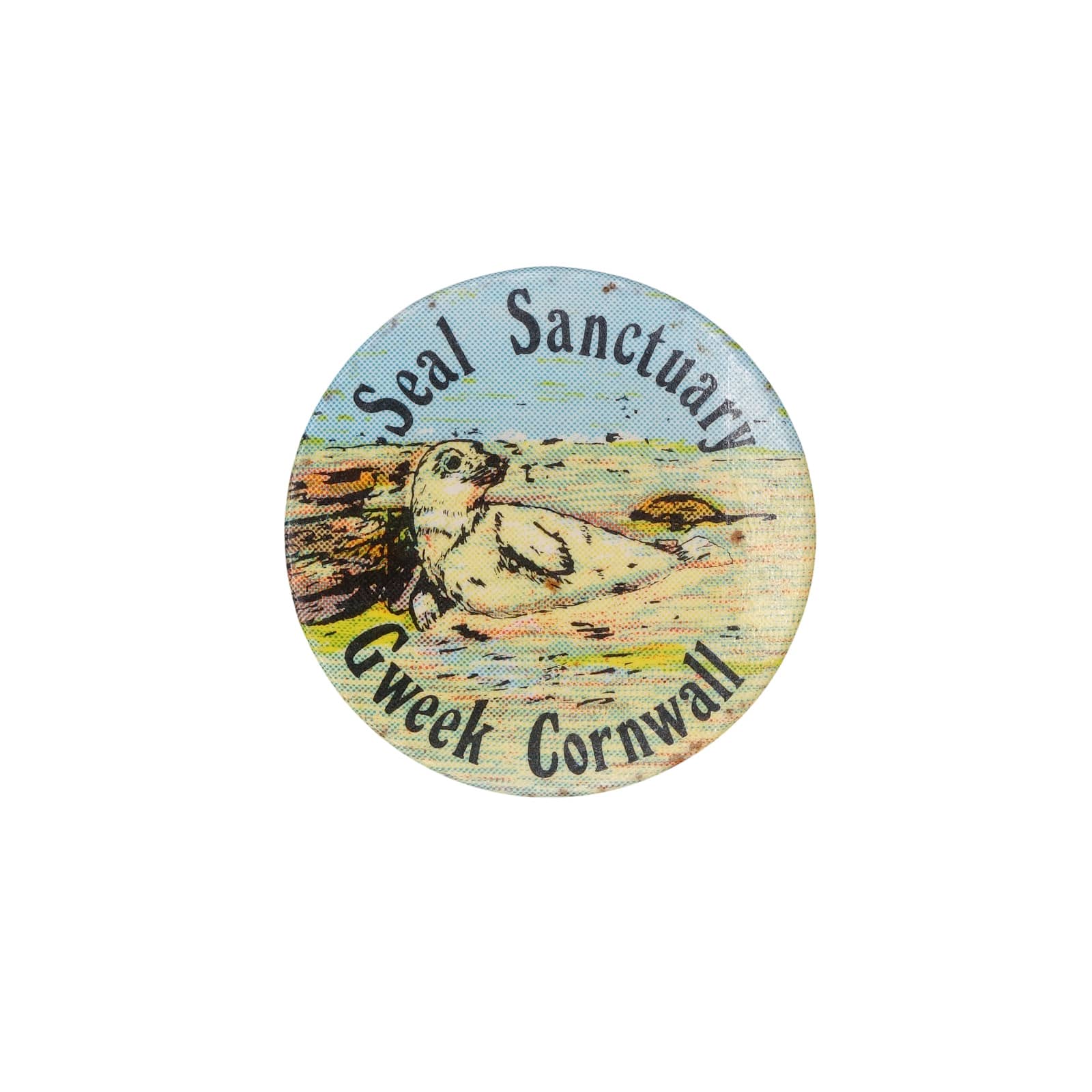 Seal Sanctuary Gweek Cornwall アザラシ保護区 缶バッジ バッチ