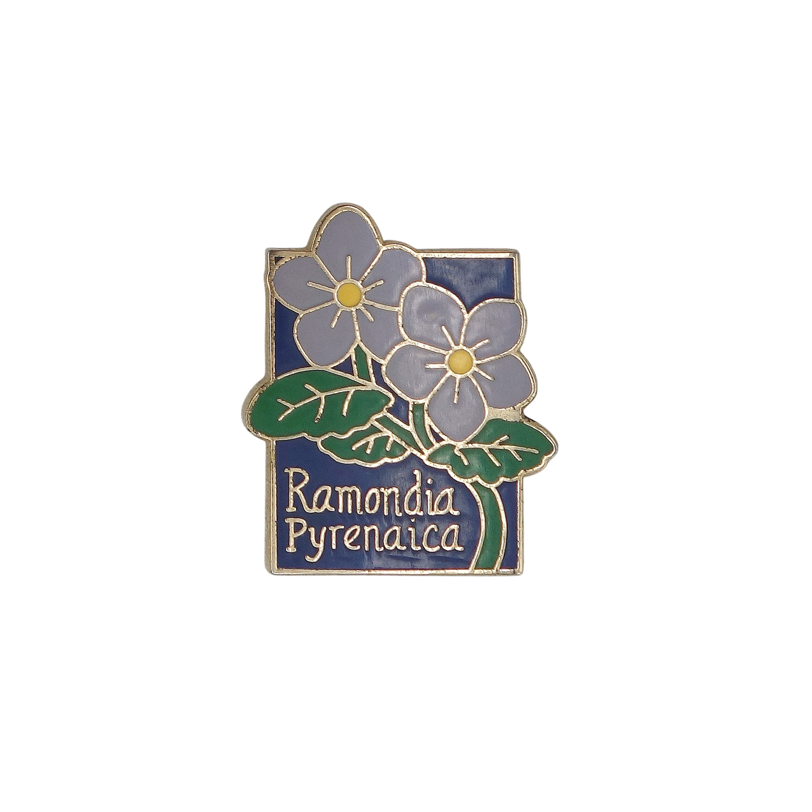 Ramondia Pyrenaica ラモンディア・ピレナイカ 花 ピンズ