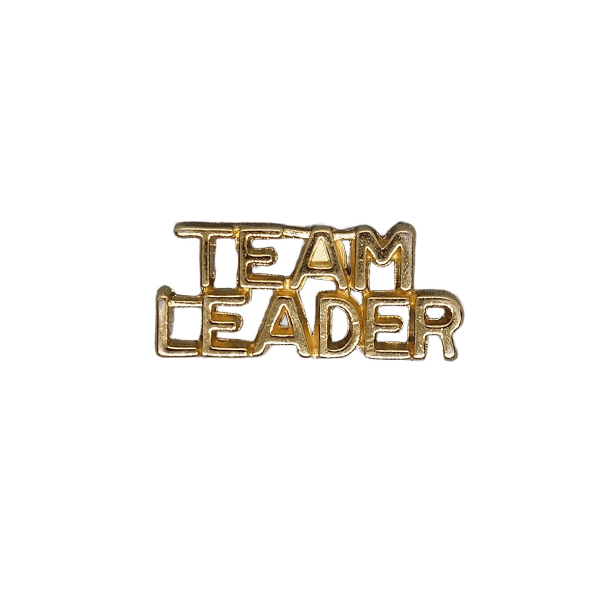 TEAM LEADER ピンズ 金色 チームリーダー