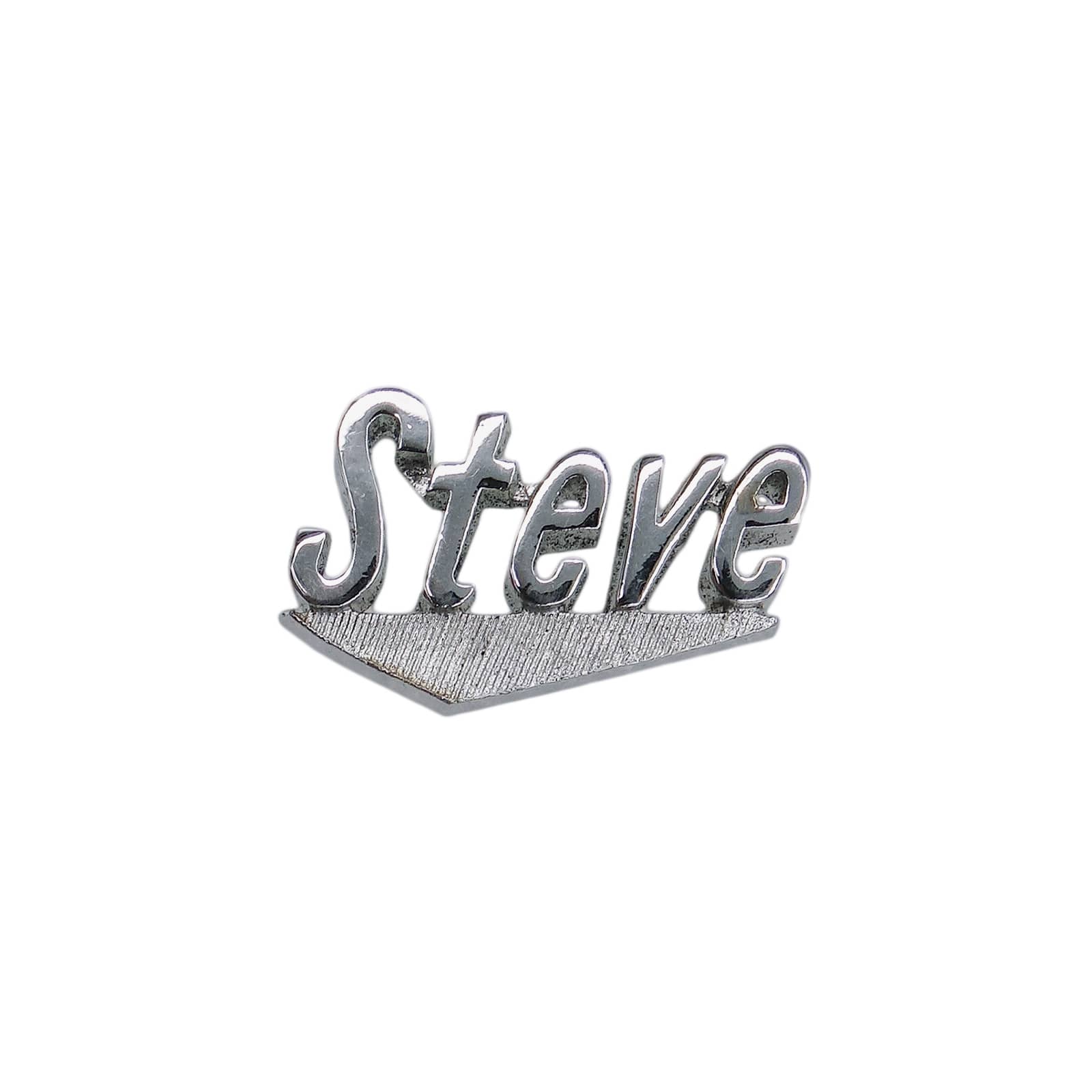 Steve ネーム ピンズ SWANK