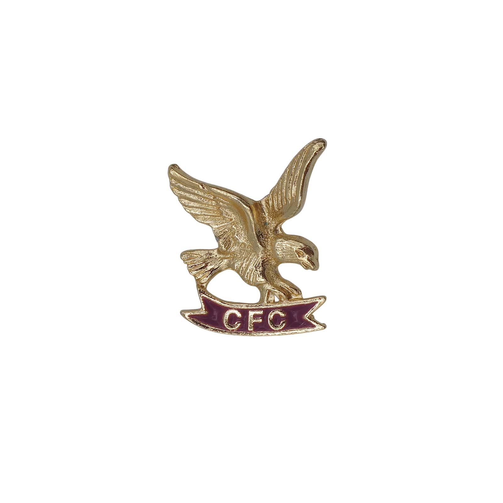 CFC イーグル ピンズ Combined Federal Campaign