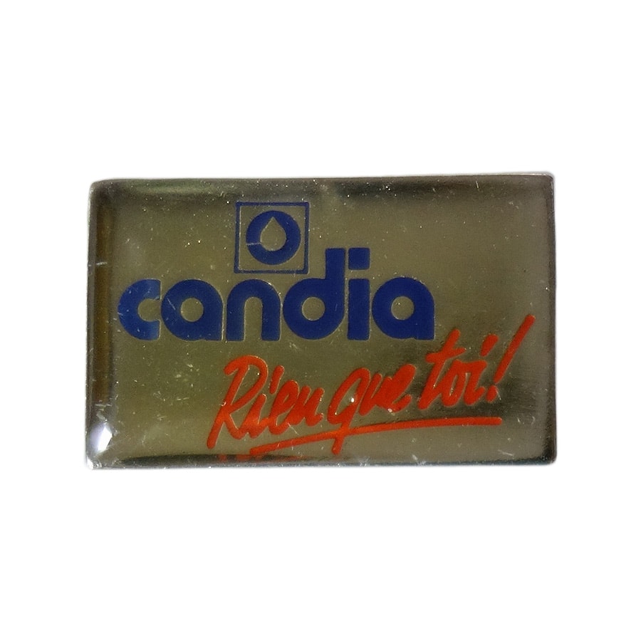 ピンズ 乳製品会社 candia フランス