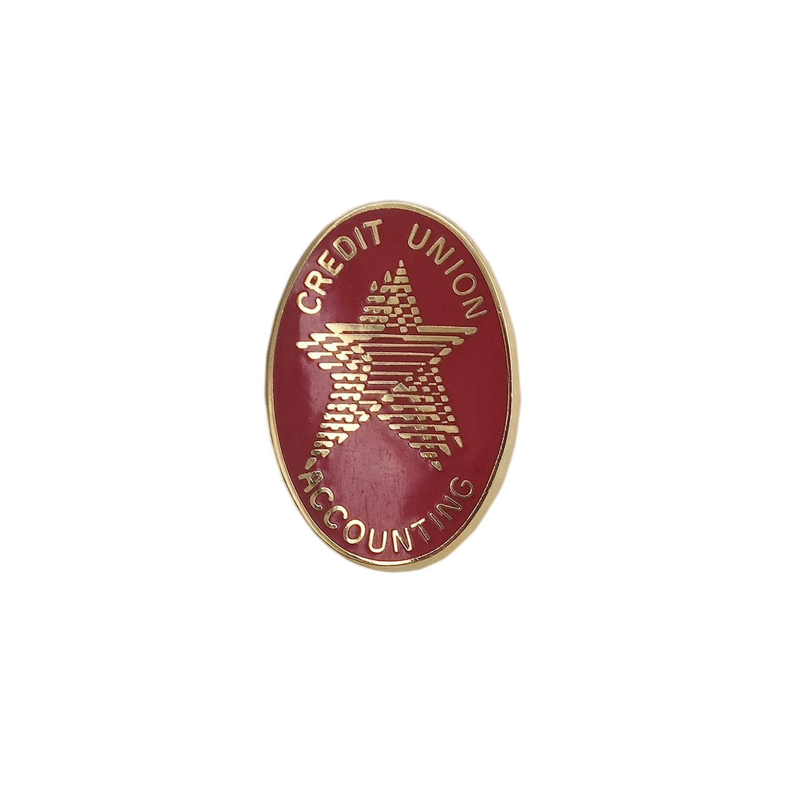 CREDIT UNION ピンズ ACCOUNTING