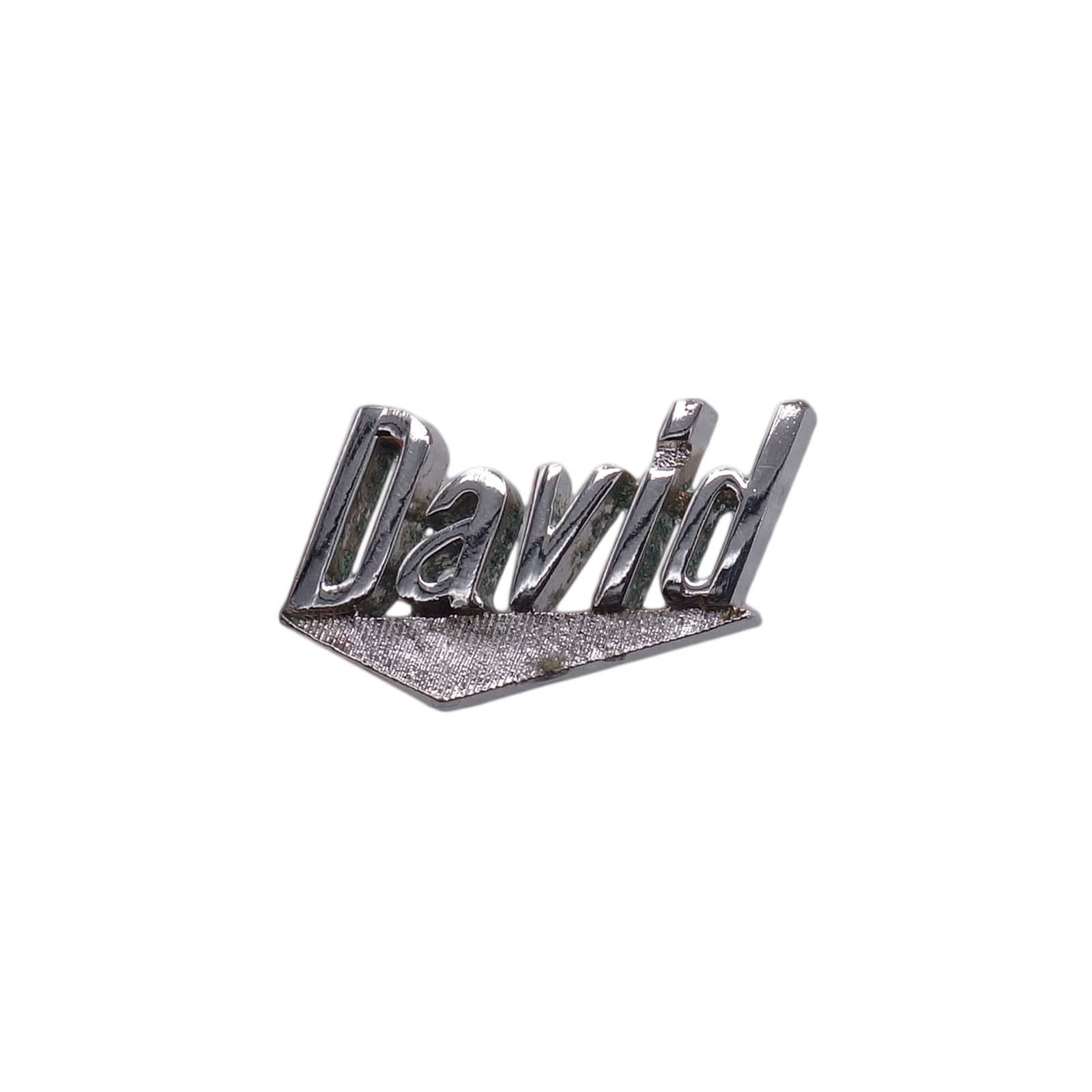 David ネーム ピンズ SWANK