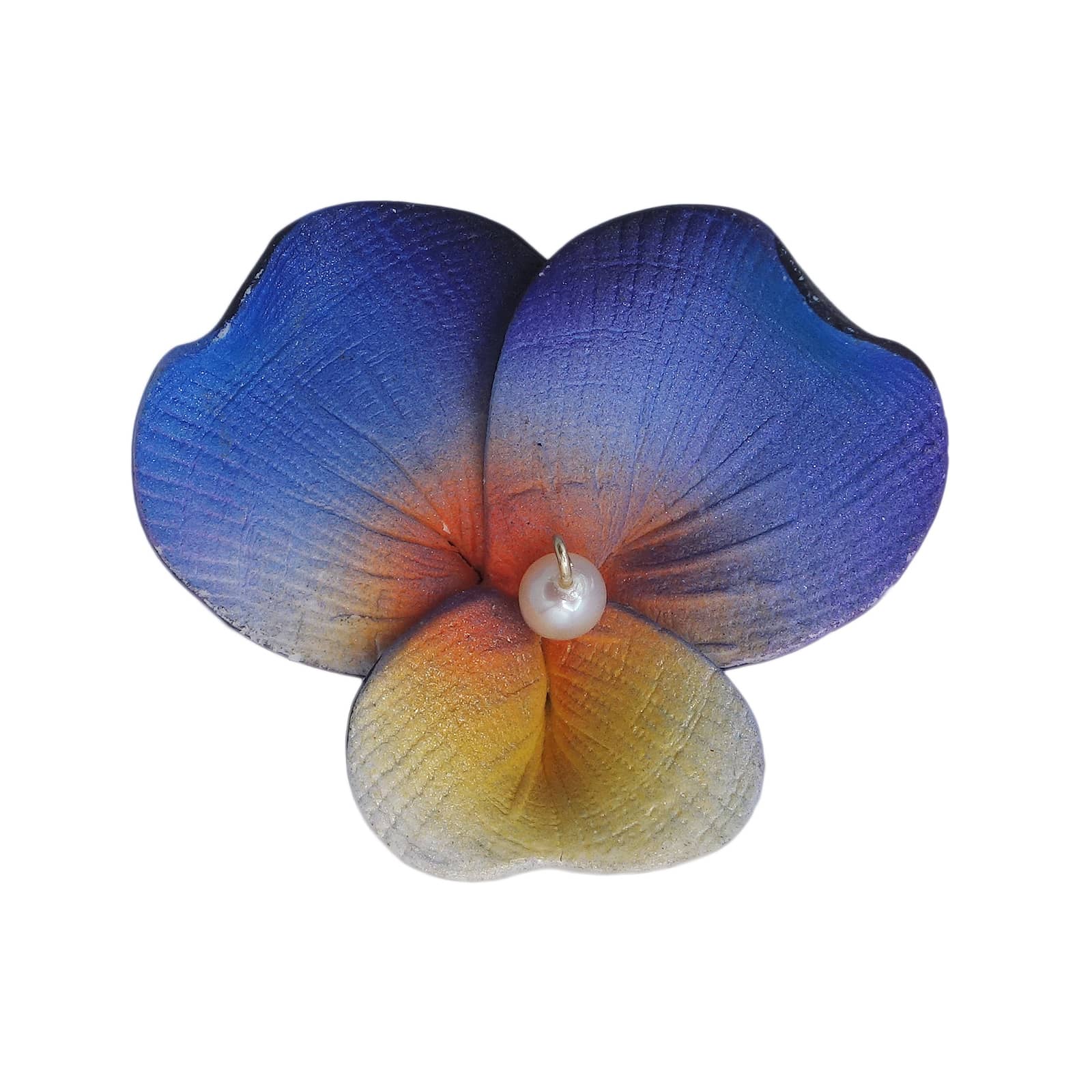 ビオラ 花 ピンズ 植物