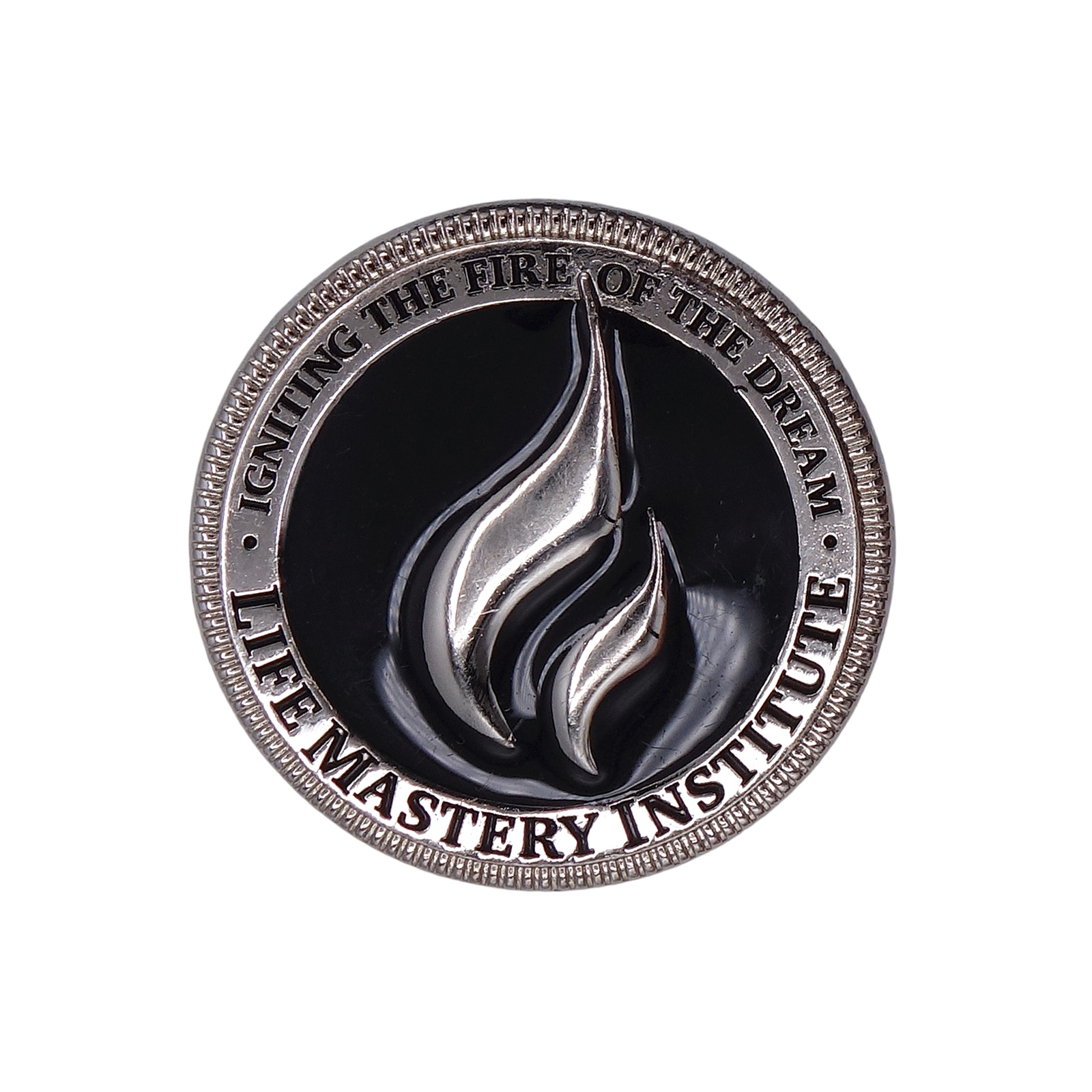 LIFE MASTERY INSTITUTE ピンズ