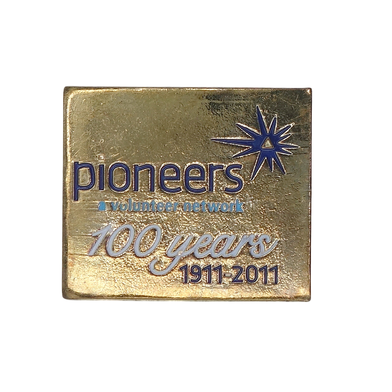 Pioneers Volunteer Network ボランティア組織 パイオニアーズ ピンズ