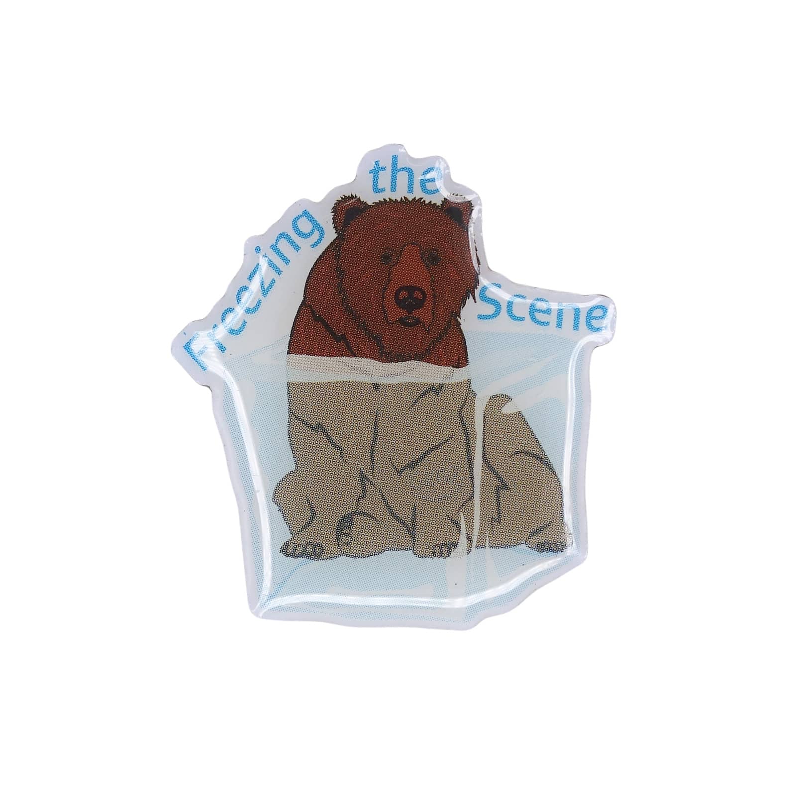 Freezing the Scene クマ ピンズ