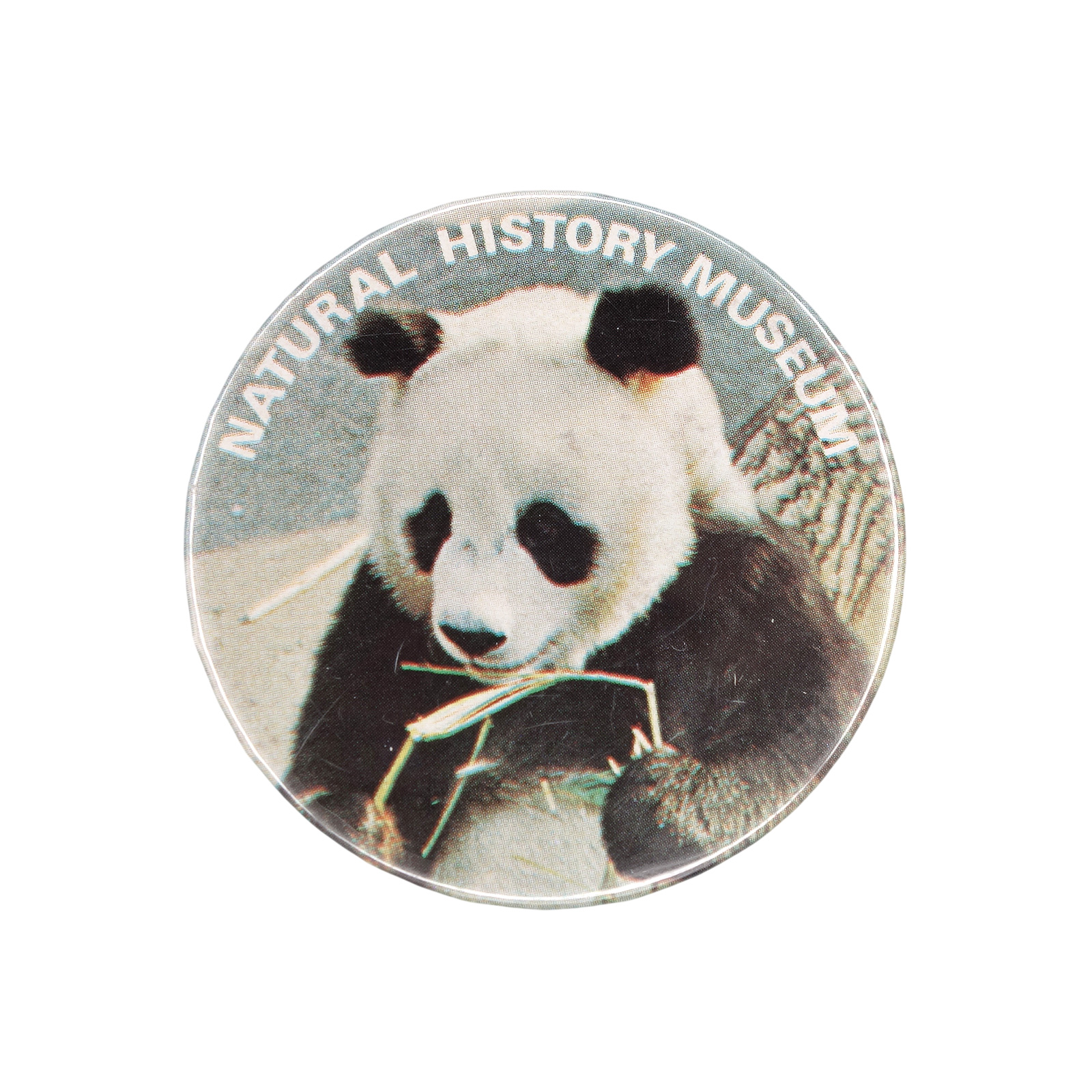 NATURAL HISTORY MUSEUM 自然史博物館 パンダ 缶バッジ バッチ