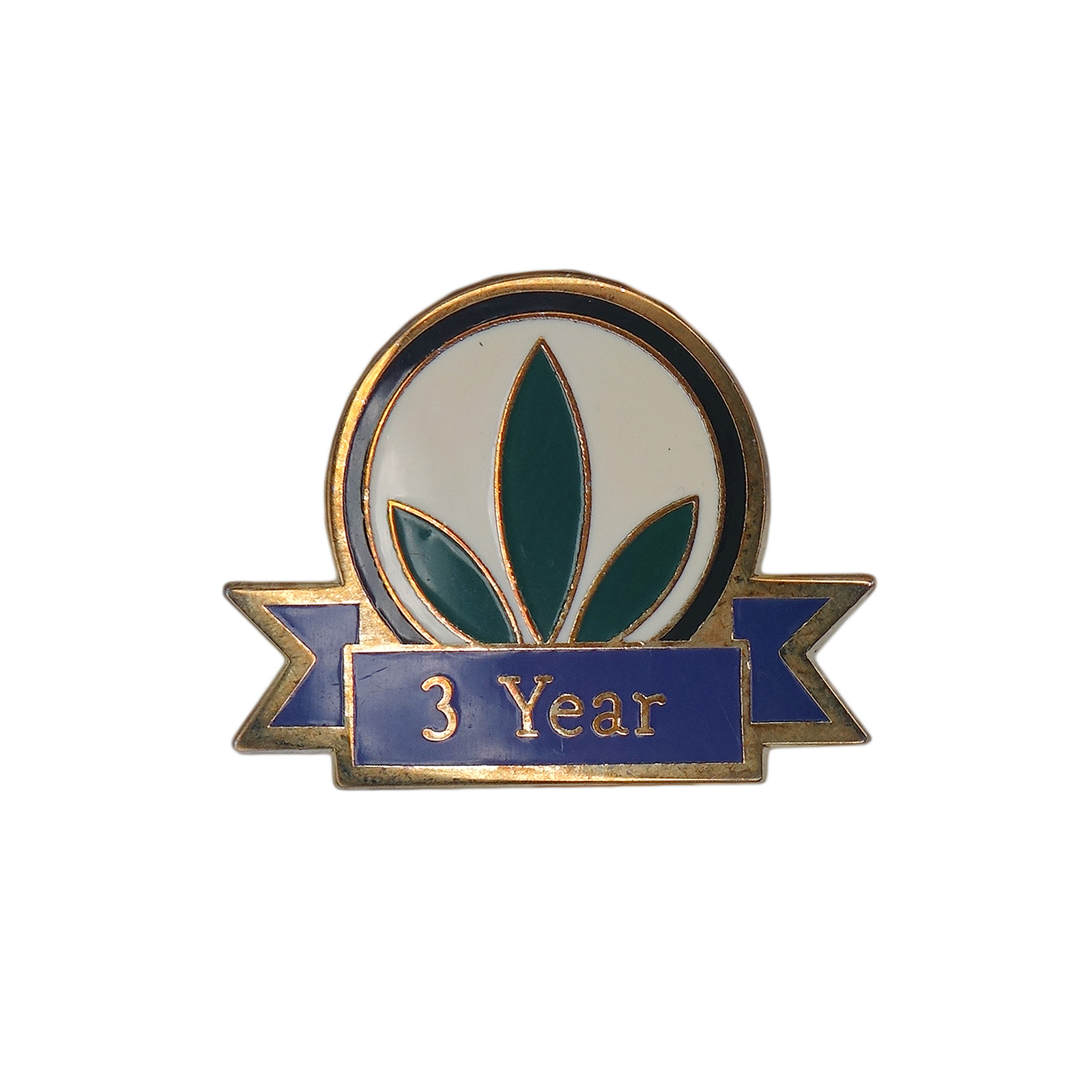 HERBALIFE ハーバライフ ピンズ 3 Year
