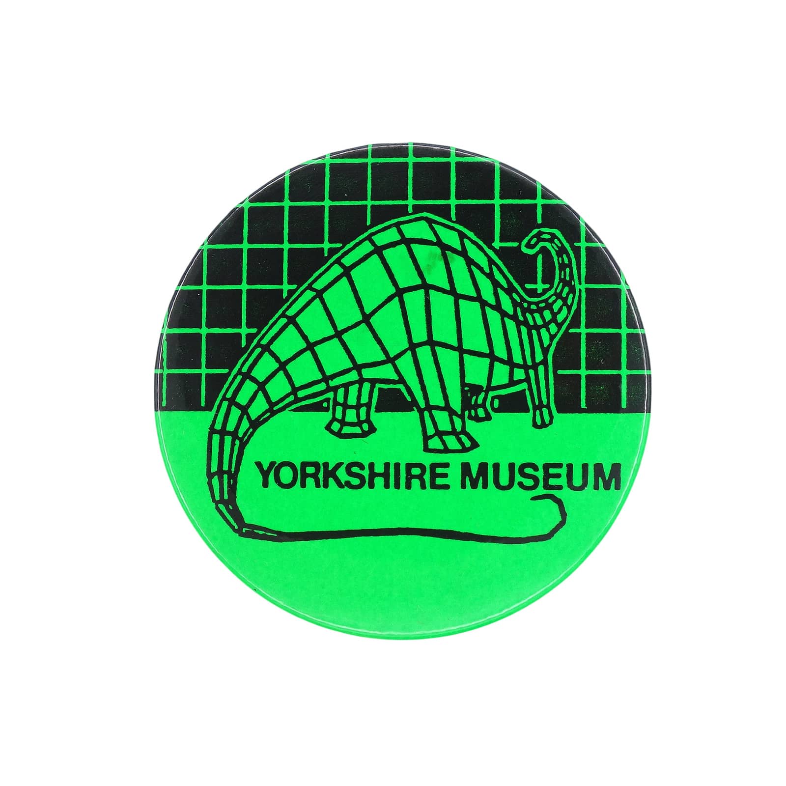 YORKSHIRE MUSEUM ヨークシャー博物館 恐竜 缶バッジ バッチ