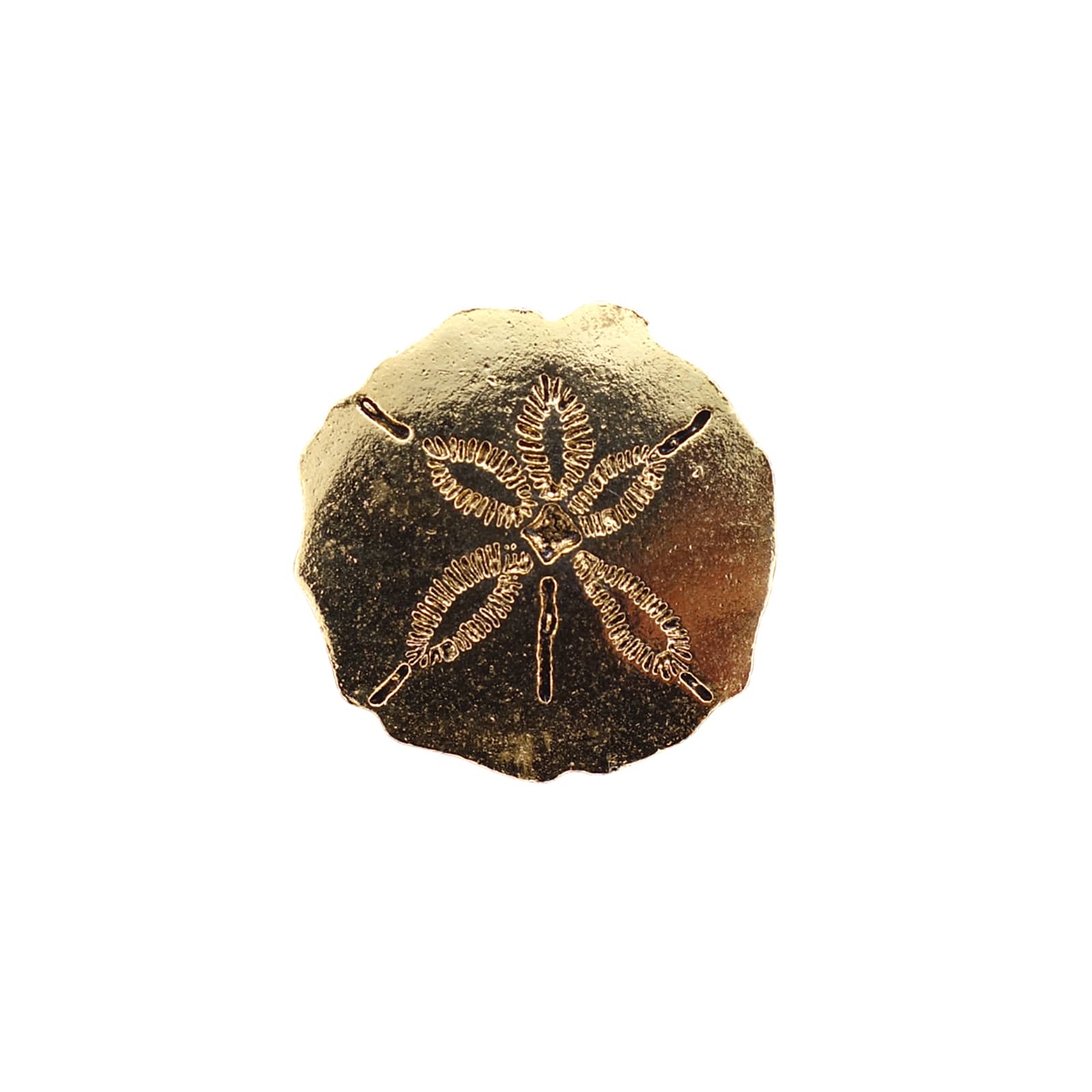 Sand Dollar ピンズ 金色 スカシカシパン