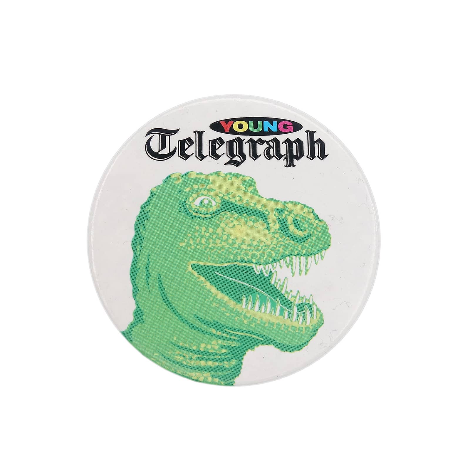 Young Telegraph 缶バッジ バッチ 恐竜