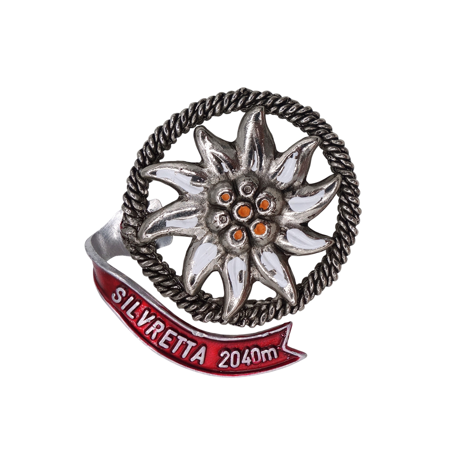 SILVRETTA 2040m シルヴレッタ山脈 チロル ピンズ エーデルワイス