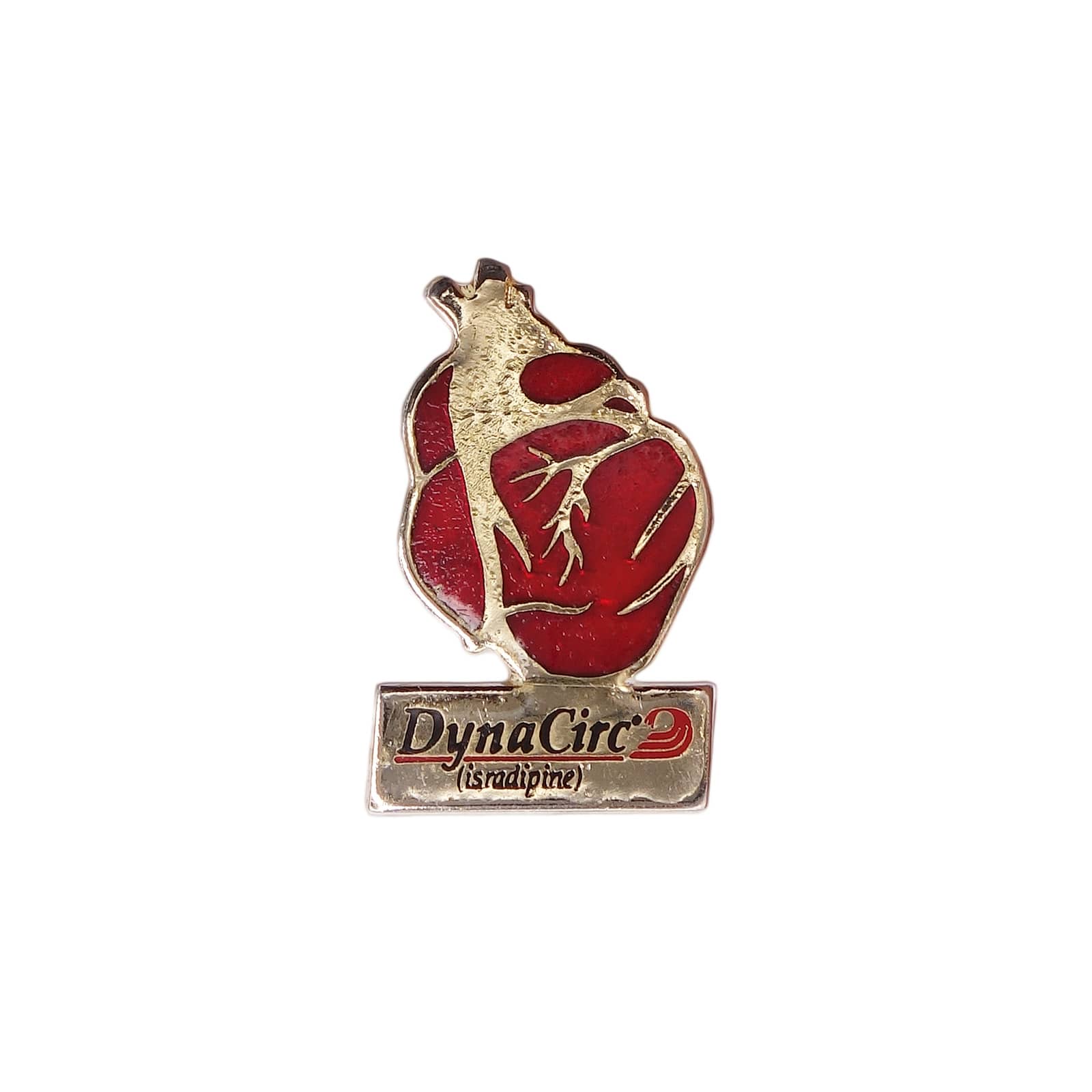 心臓 ピンズ 医薬品 DynaCirc Isradipine