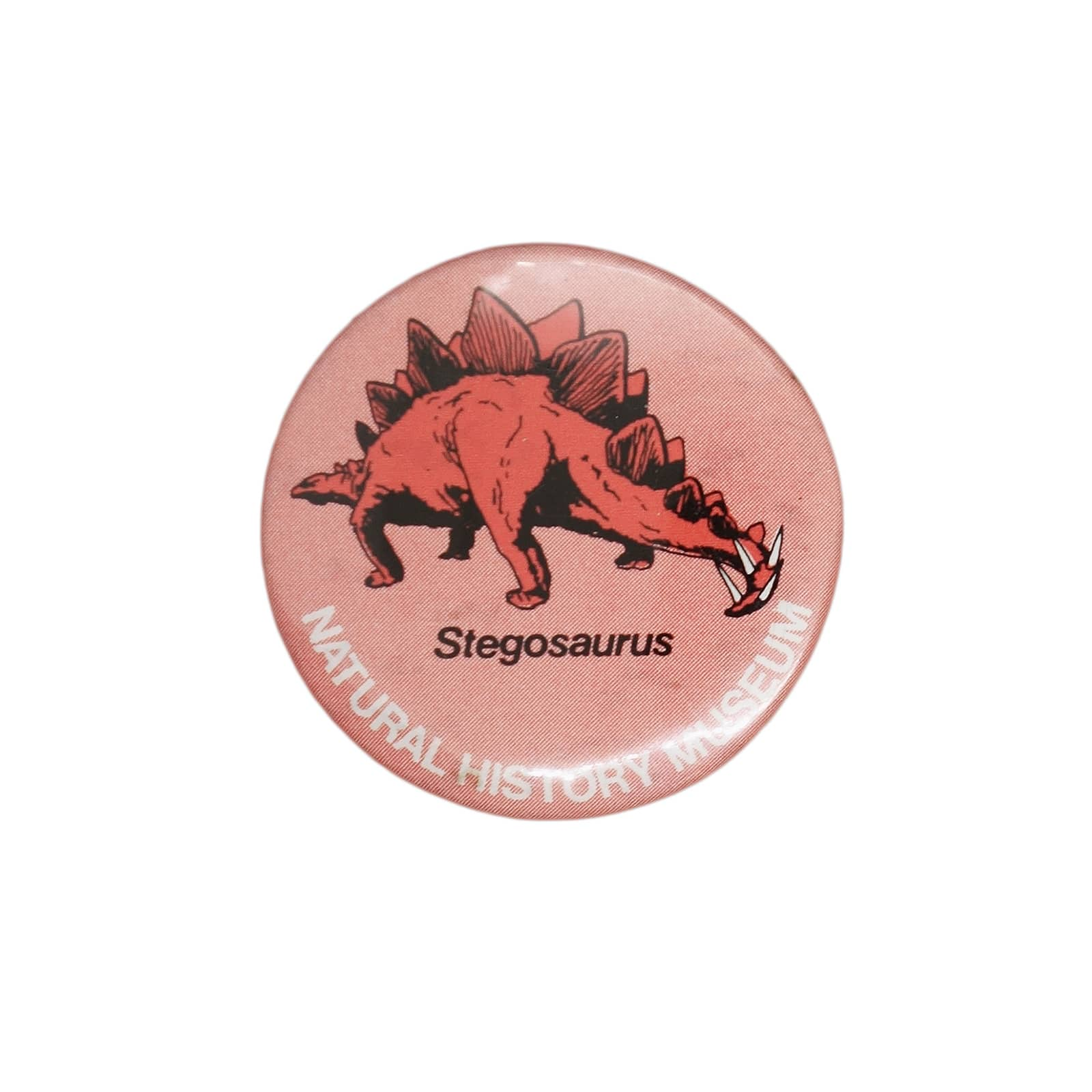 Stegosaurus 恐竜 ステゴサウルス 缶バッジ NATURAL HISTORY MUSEUM