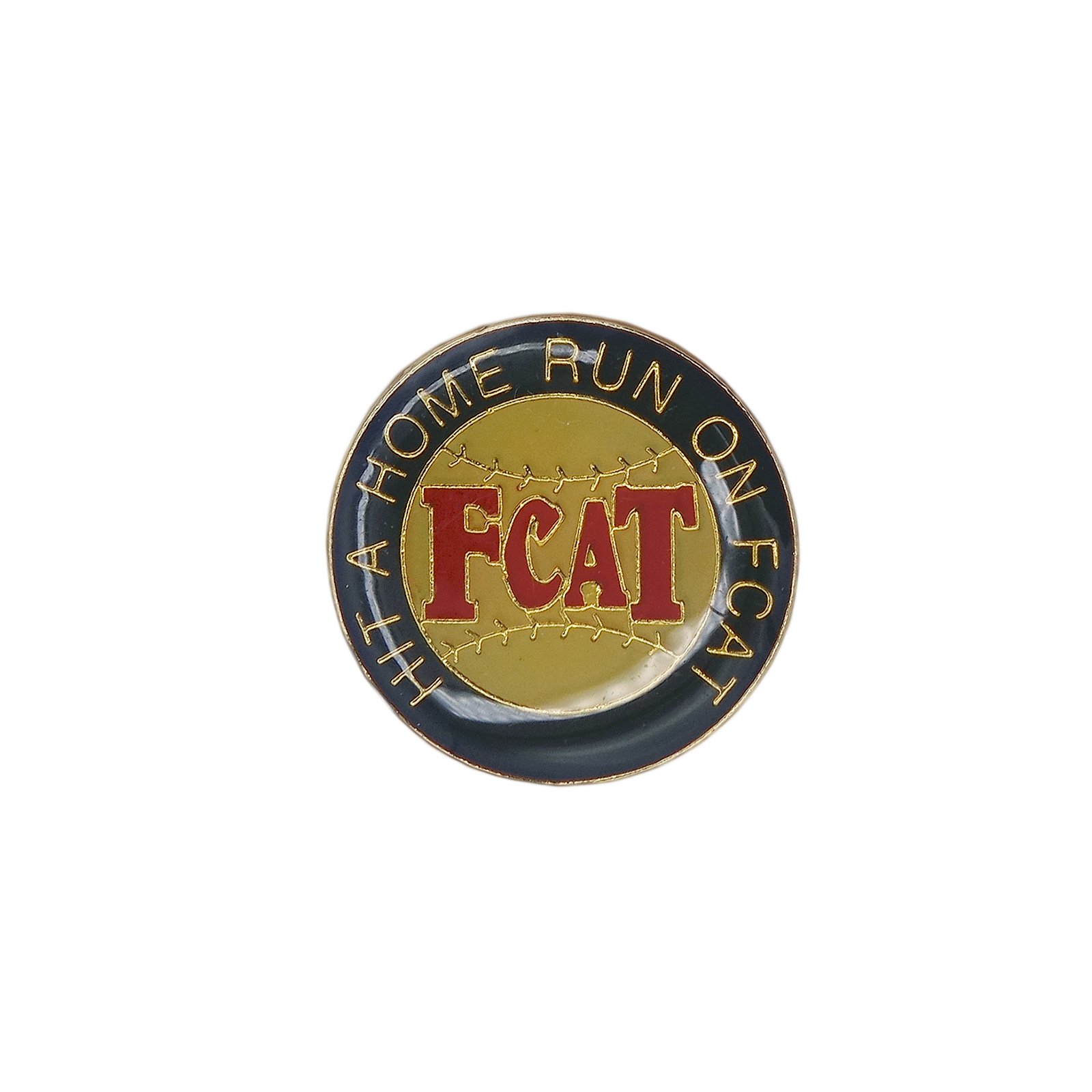 HIT A HOME RUN ON FCAT ピンズ フロリダ州総合評価テスト